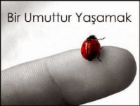 umut-tuccarlari_456516.jpg umut-tuccarlari_456516.jpg