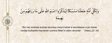 3 ayet-i kerime.jpg