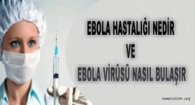 ebola-hastaligi-nedir-ve-ebola-virusu-nasil-bulasir.jpg