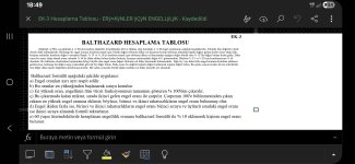Screenshot_20250806_184938_Excel.jpg