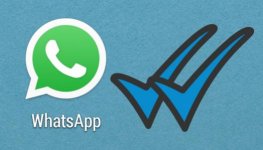 whatsapp.jpg