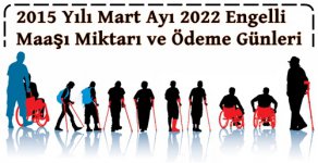 2015-2022 engelli-maası.jpg
