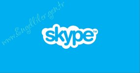 skype-logo-open-graph.jpg