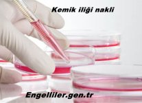kemik-iligi2.jpg kemik-iligi2.jpg