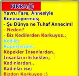 iste-kisir-dongu.jpg