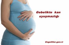 gebelik.jpg gebelik.jpg