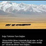 Büyük TÜRK Tarihi (30).jpg