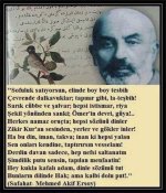 Dindar Atatürk.jpg