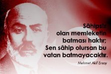 Türkçenin Diriliş Hareketi TDH.jpg