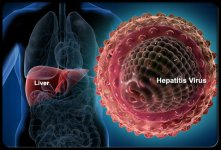 Hepatit-B-virüsü.jpg