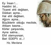 Mevlana Sözleri ve Şiirleri.jpg