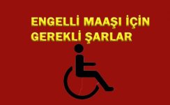 engelli_aylik.jpg