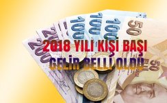 2018-kisi-basi-gelir.jpg 2018-kisi-basi-gelir.jpg