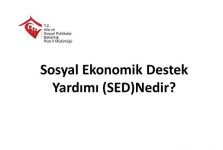 sed-nedir.jpg