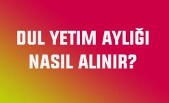 Dul-Yetim-Aylığı-Alma-Şartları.jpg Dul-Yetim-Aylığı-Alma-Şartları.jpg