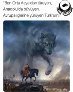 Türkçü Göktürk Kağanlığı.jpg