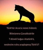 is (11).jpg